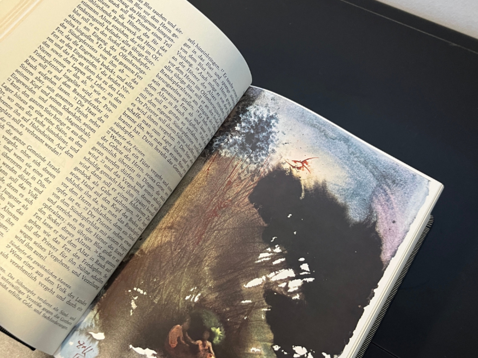 Die Bibel mit Bildern von Salvador Dalí Edizione Limitata Weltbild Verlag 1989  6