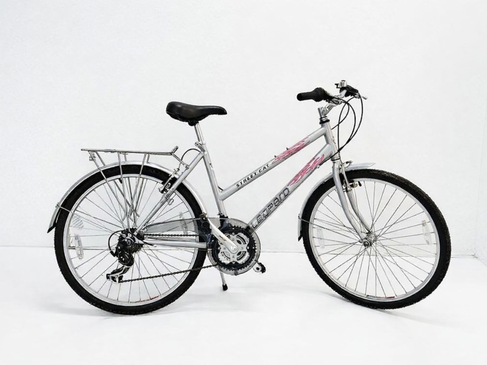 Leopard Street Cat 26