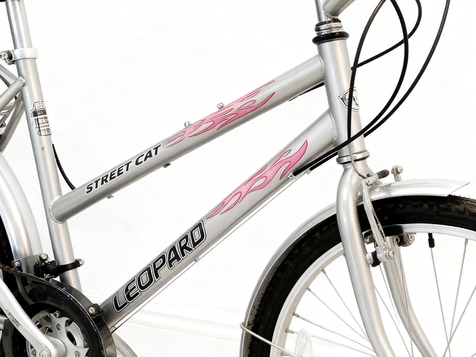 Leopard Street Cat 26