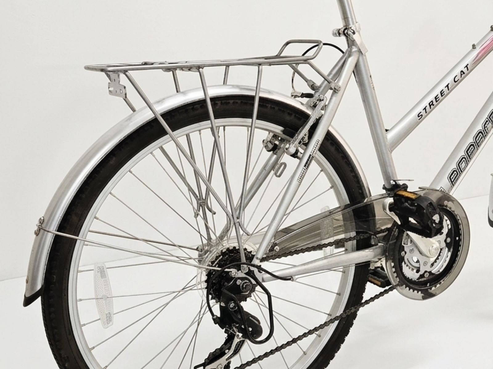 Leopard Street Cat 26