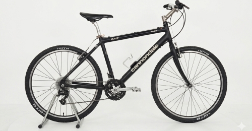 Cannondale CAD2 &ndash; Prodotta a mano in USA &ndash; Ottime condizioni