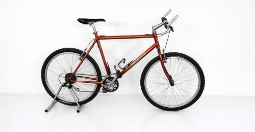 Mountain Bike Scott &ndash; Leggera e Affidabile &ndash; Ottime Condizioni