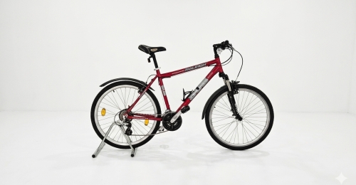 Mountain Bike Raleigh SUB ATB &ndash; Affidabile e pronta all'uso (nr. 35)