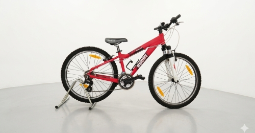 Mountain Bike Wheeler Buddy - Ottime condizioni