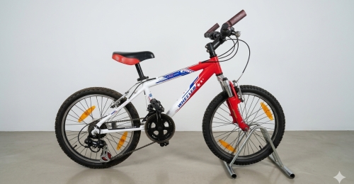 Bicicletta Junior Wheeler 20" (nr.14)