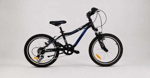 Bicicletta MTB bambino/ragazzo Racer 20&rdquo; (nr. 12)