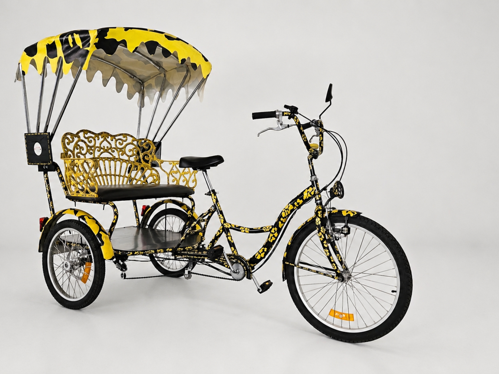 Triciclo Rickshaw / Risciò ( Nr 44) 3