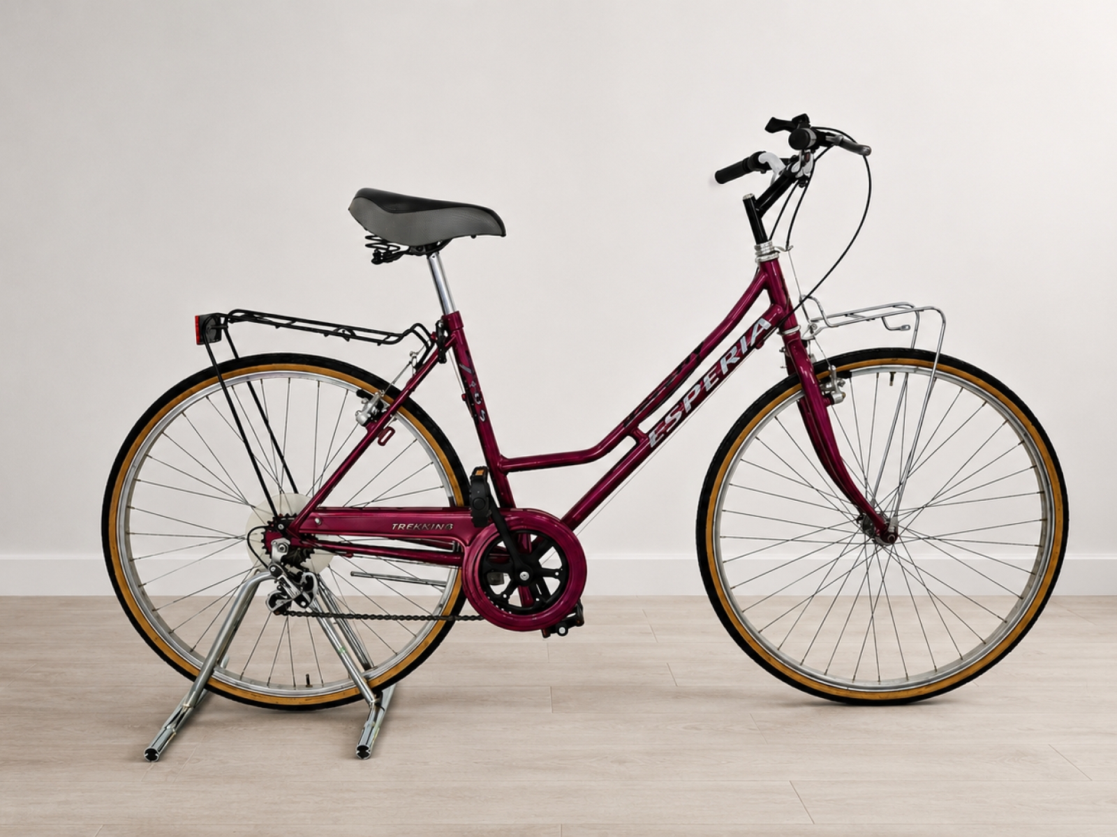 Bicicletta da città Esperia Trekking (nr. 19) 2