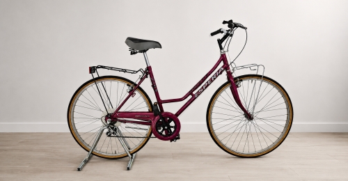 Bicicletta da citt&agrave; Esperia Trekking (nr. 19)