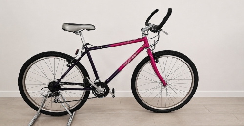 Bicicletta Ranger C10 Vintage (nr. 21)