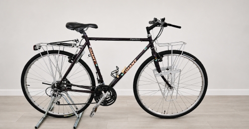 Bicicletta Trekking GIANT Expedition (nr. 37)