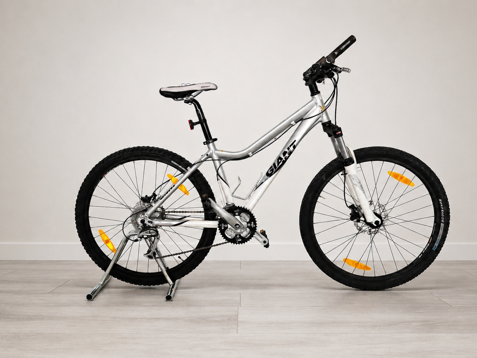 Bicicletta MTB Giant Terrago W 26