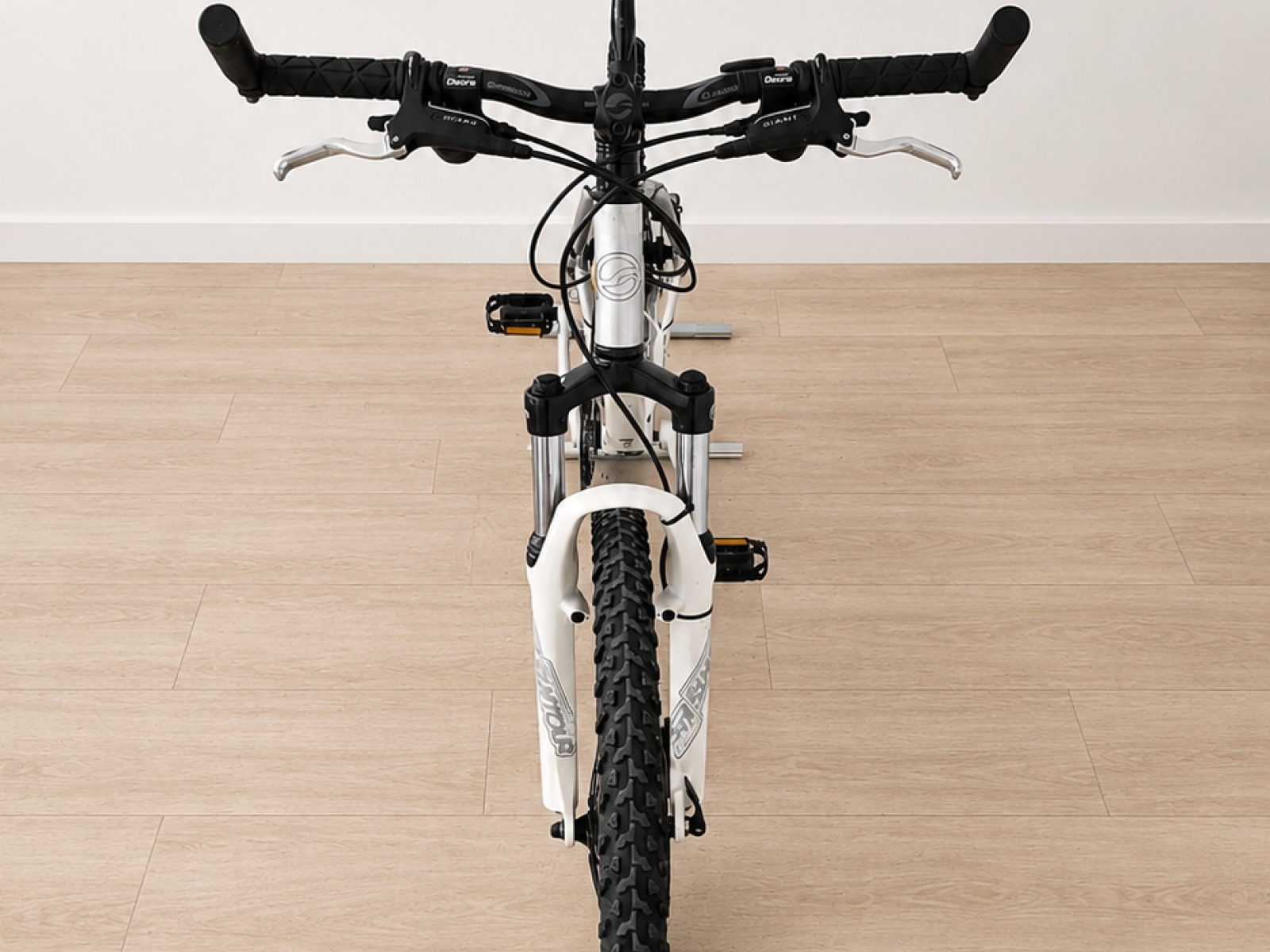 Bicicletta MTB Giant Terrago W 26