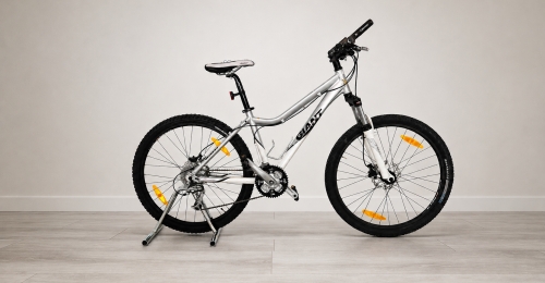 Bicicletta MTB Giant Terrago W 26" (nr. 3)