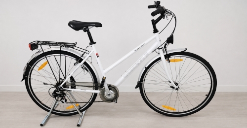Bicicletta da citt&agrave; Greenwave Steelrider 28" (nr.16)