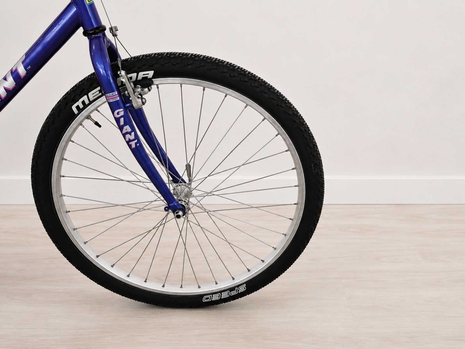 Bicicletta GIANT Terrago – Mountain Bike 26