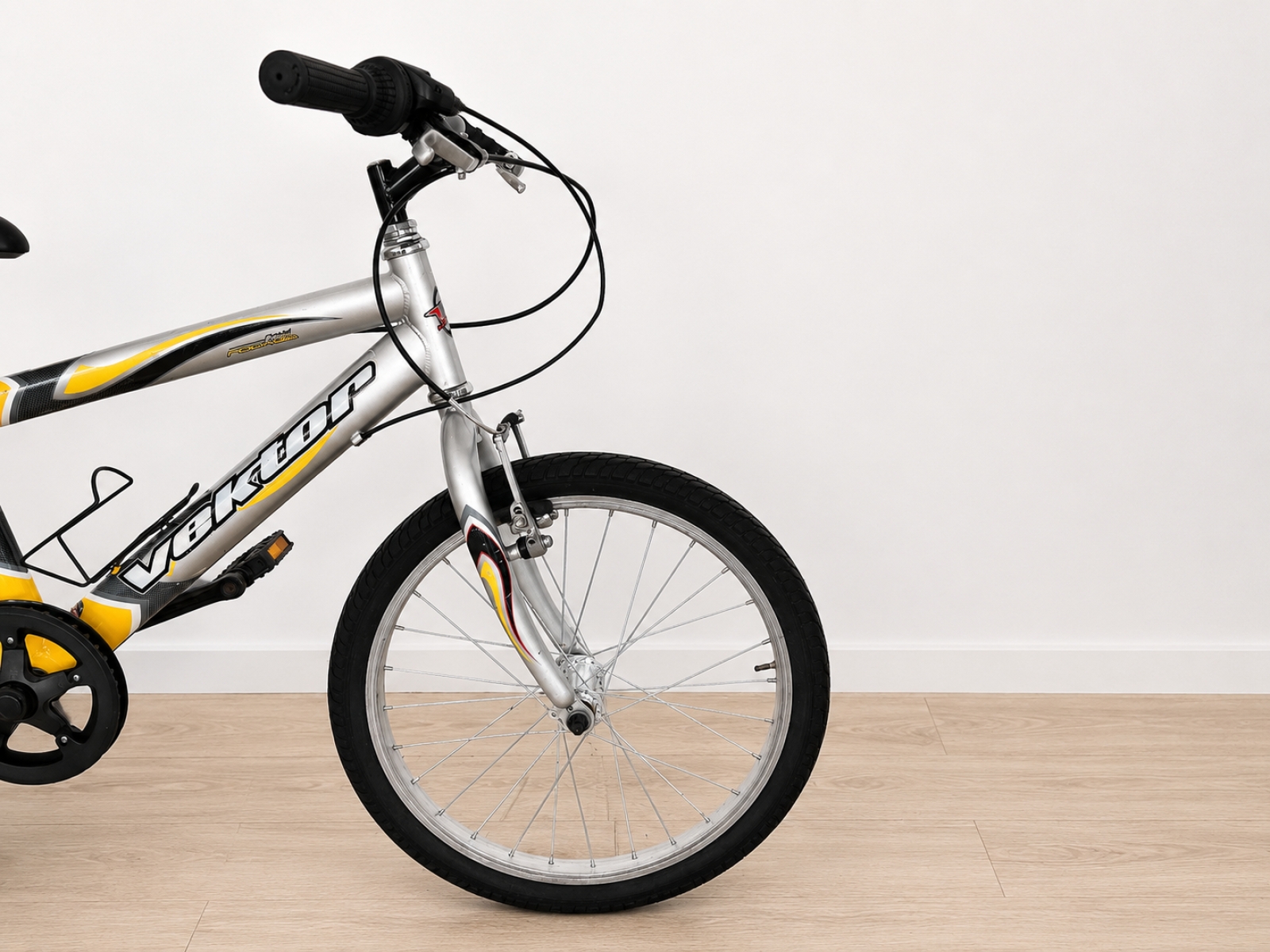 Bicicletta Vektor 20