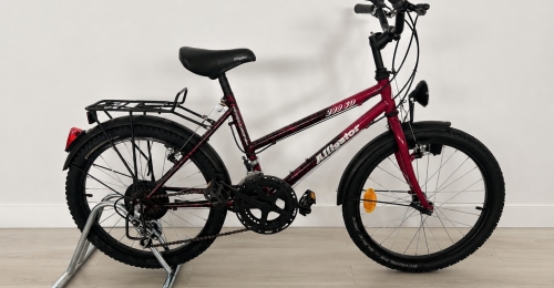 Bicicletta Alligator 20" &ndash; Ideale per bambini/ragazzi (nr. 39)