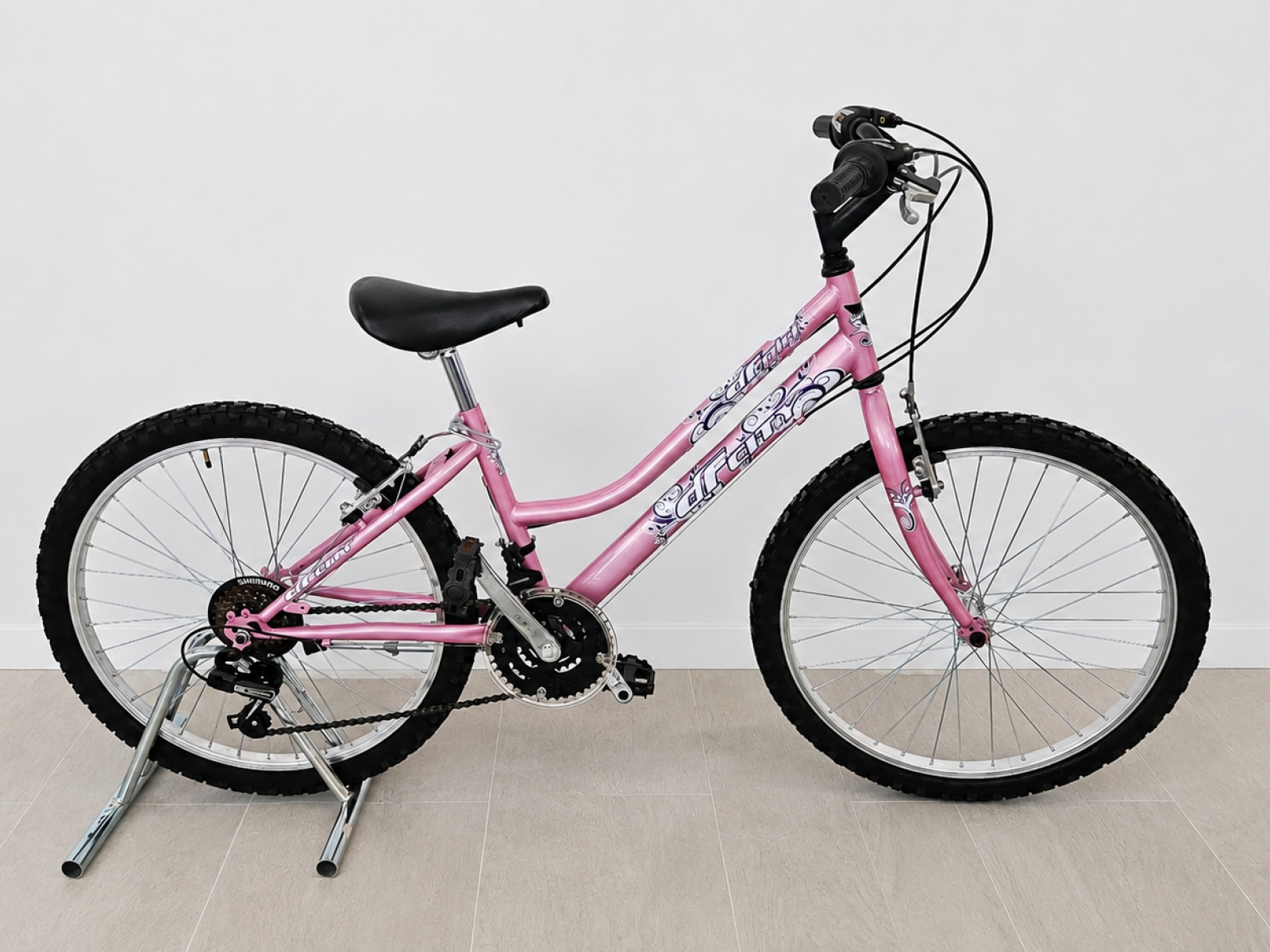 Bicicletta da bambina 24