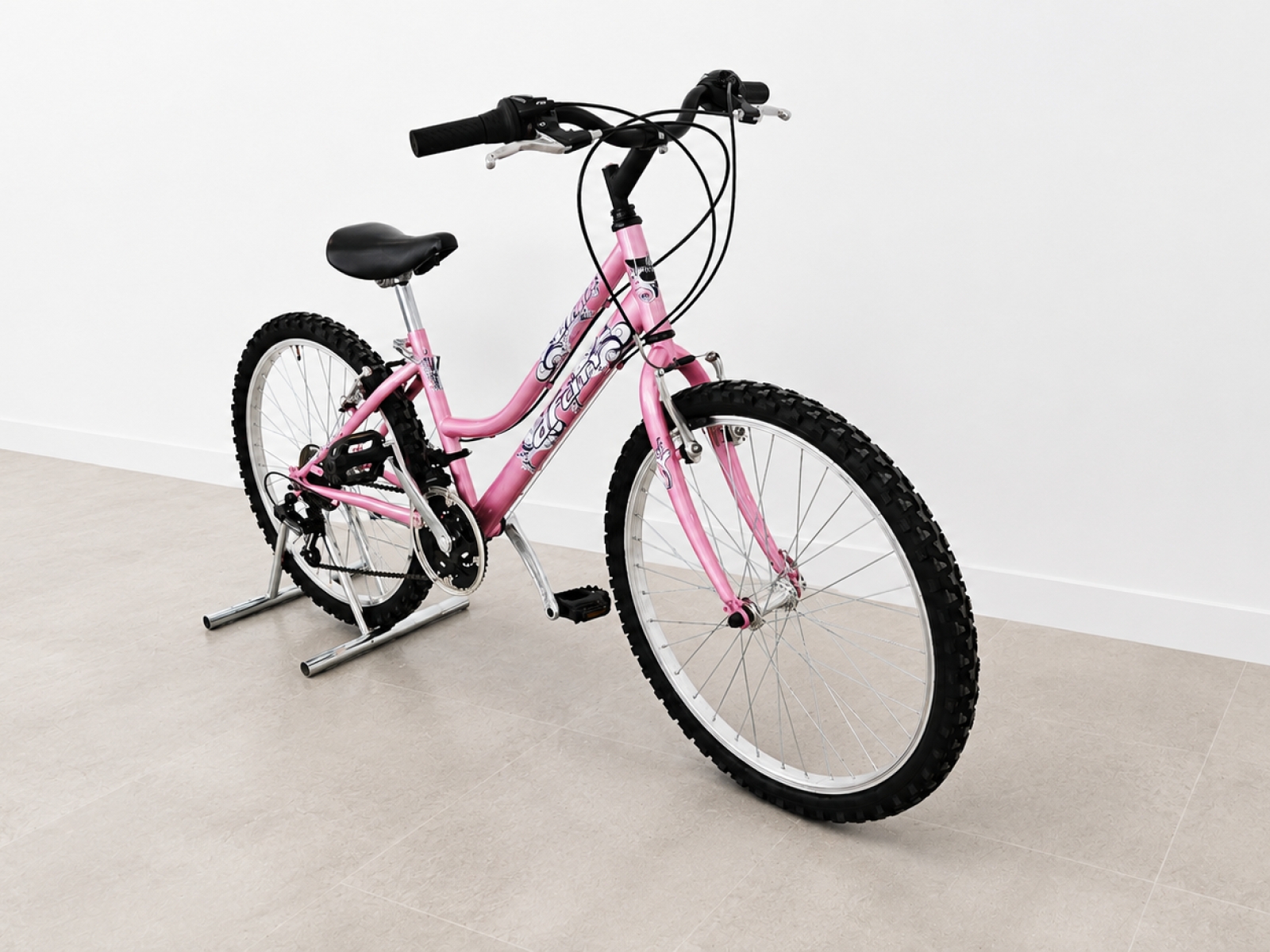 Bicicletta da bambina 24