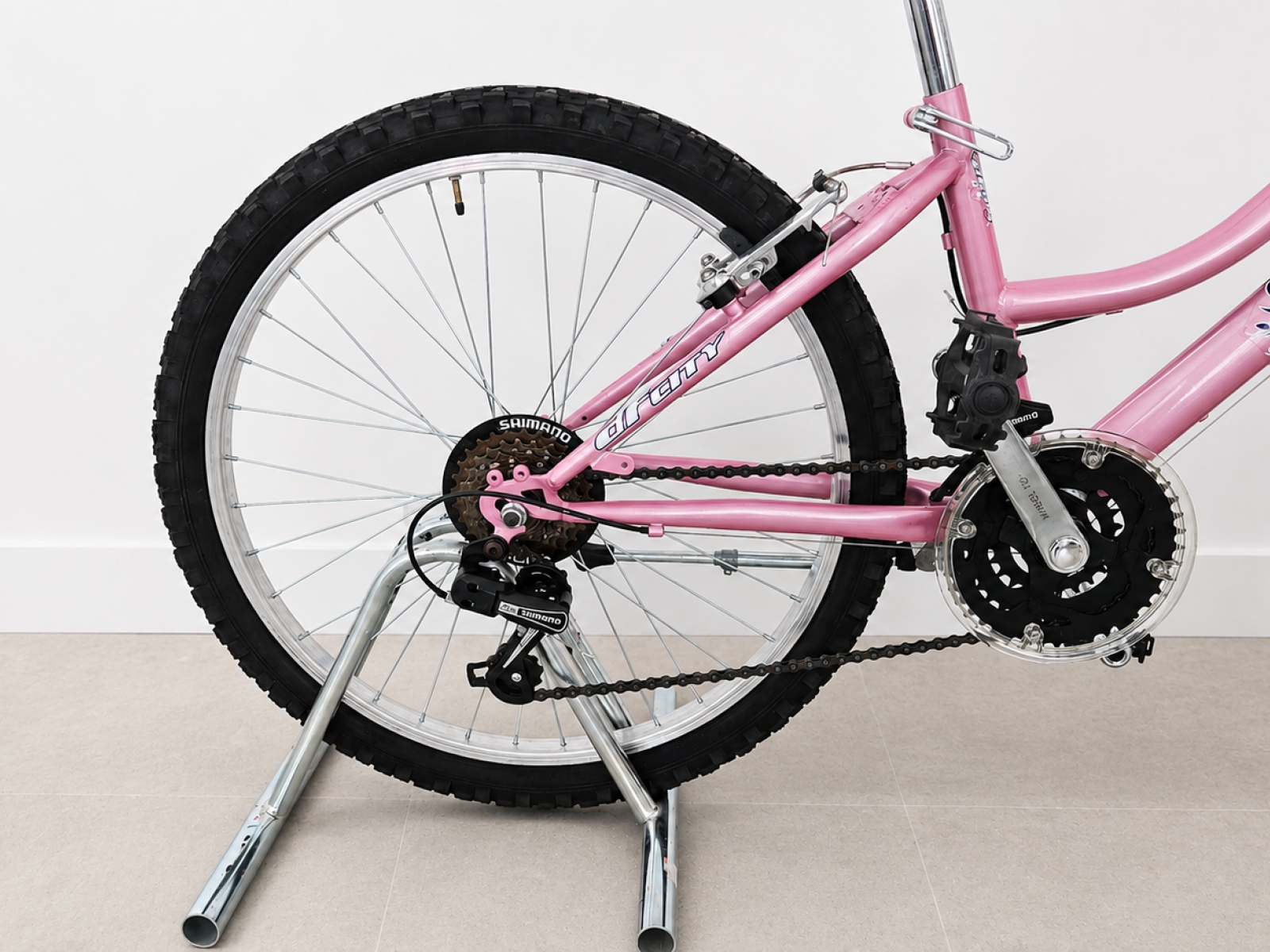Bicicletta da bambina 24