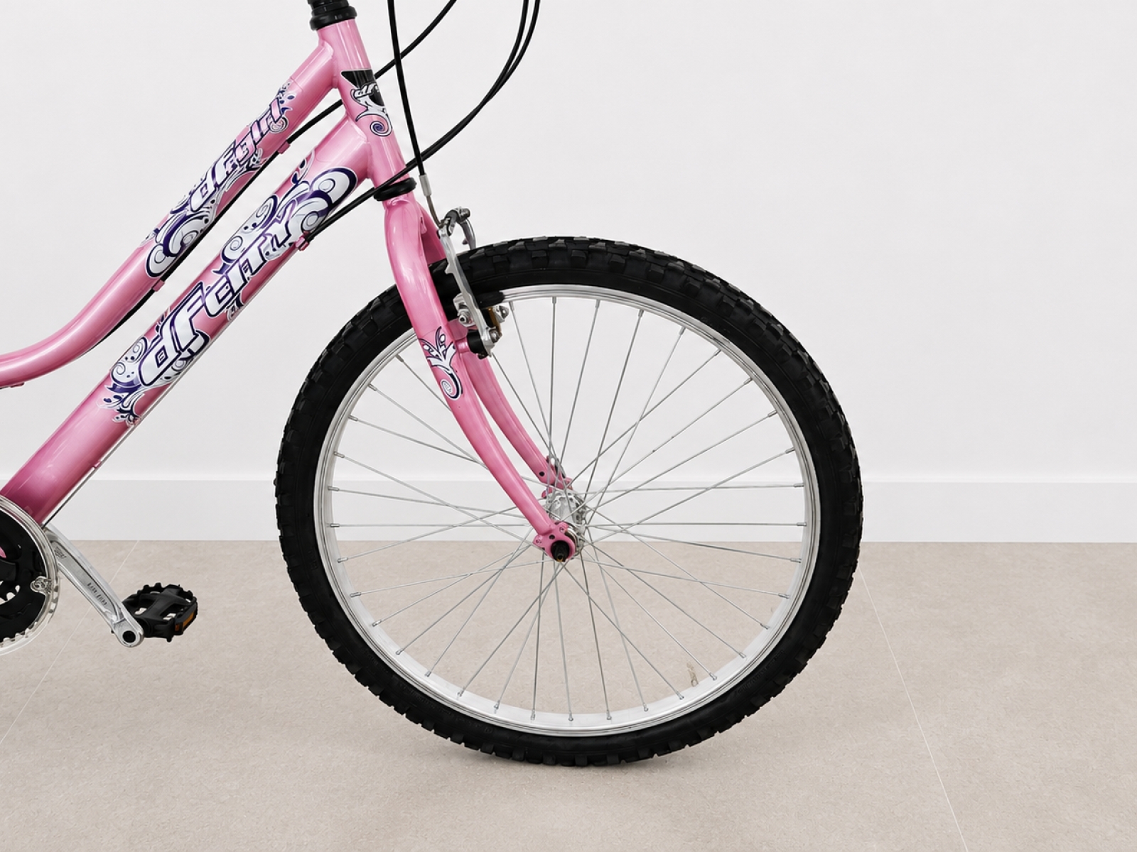 Bicicletta da bambina 24