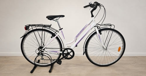 Bicicletta da citt&agrave; Streetland (nr. 41)