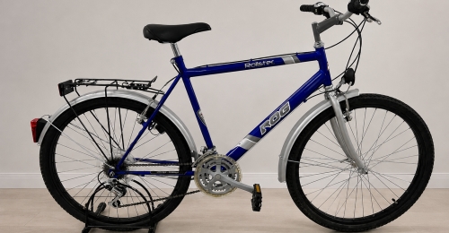 Bicicletta ROG Rollster (nr. 43)