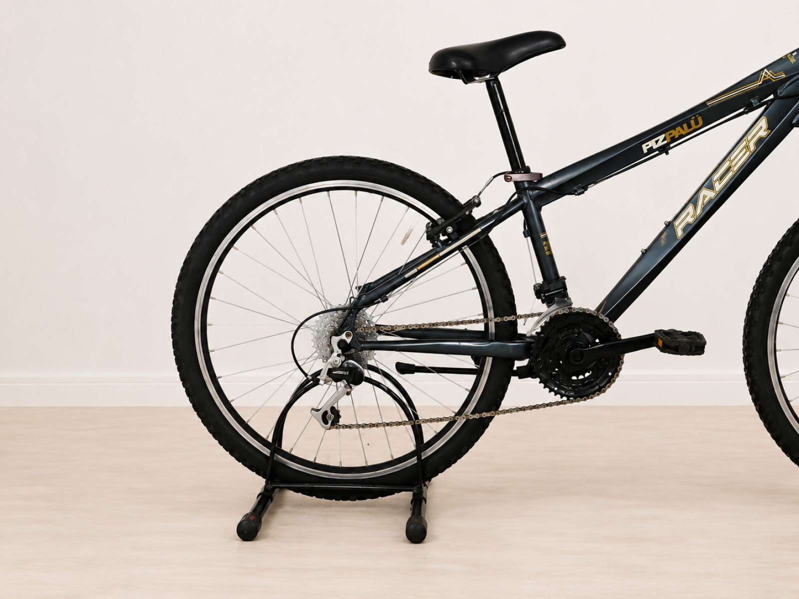 Mountain bike RACER – telaio nero con dettagli oro (Nr. 4) 5