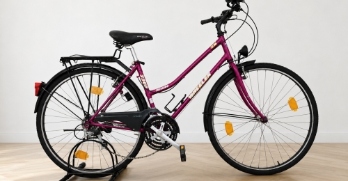 Bicicletta trekking WHEELER &ndash; telaio magenta (Nr. 59)