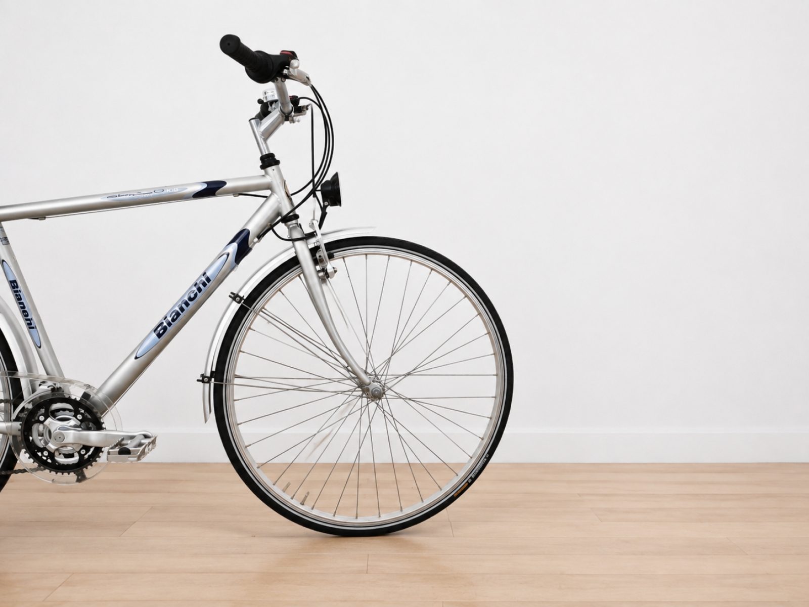 Bicicletta da città Bianchi – telaio argento (Nr. 16) 4