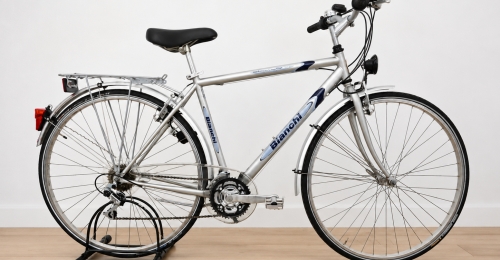 Bicicletta da citt&agrave; Bianchi &ndash; telaio argento (Nr. 16)
