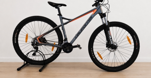 Mountain bike Califormia grigia con dettagli arancioni (Nr. 35)