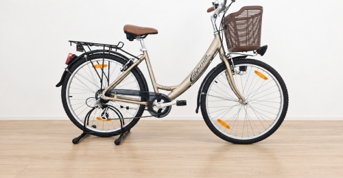 City bike California Vista color champagne con cestino (Nr. 57)