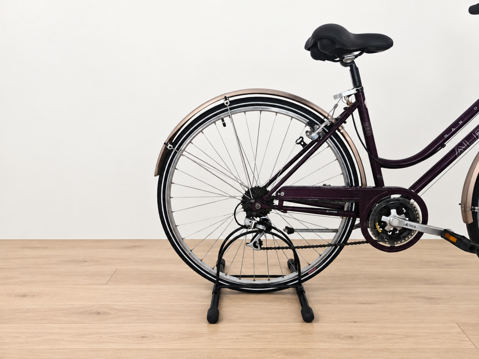 Bicicletta da città Wheeler Alpina (Nr. 7) 3