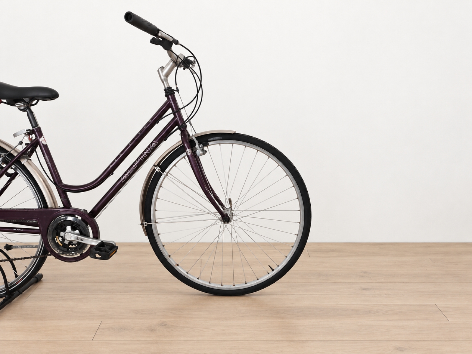 Bicicletta da città Wheeler Alpina (Nr. 7) 4