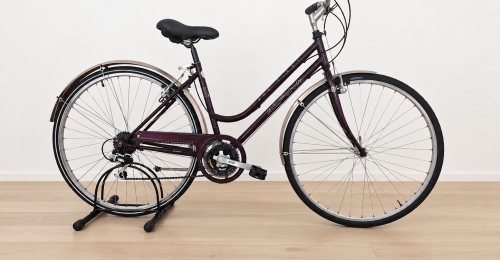 Bicicletta da citt&agrave; Wheeler Alpina (Nr. 7)