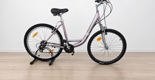 Bicicletta da citt&agrave; con portapacchi (Nr. 49)
