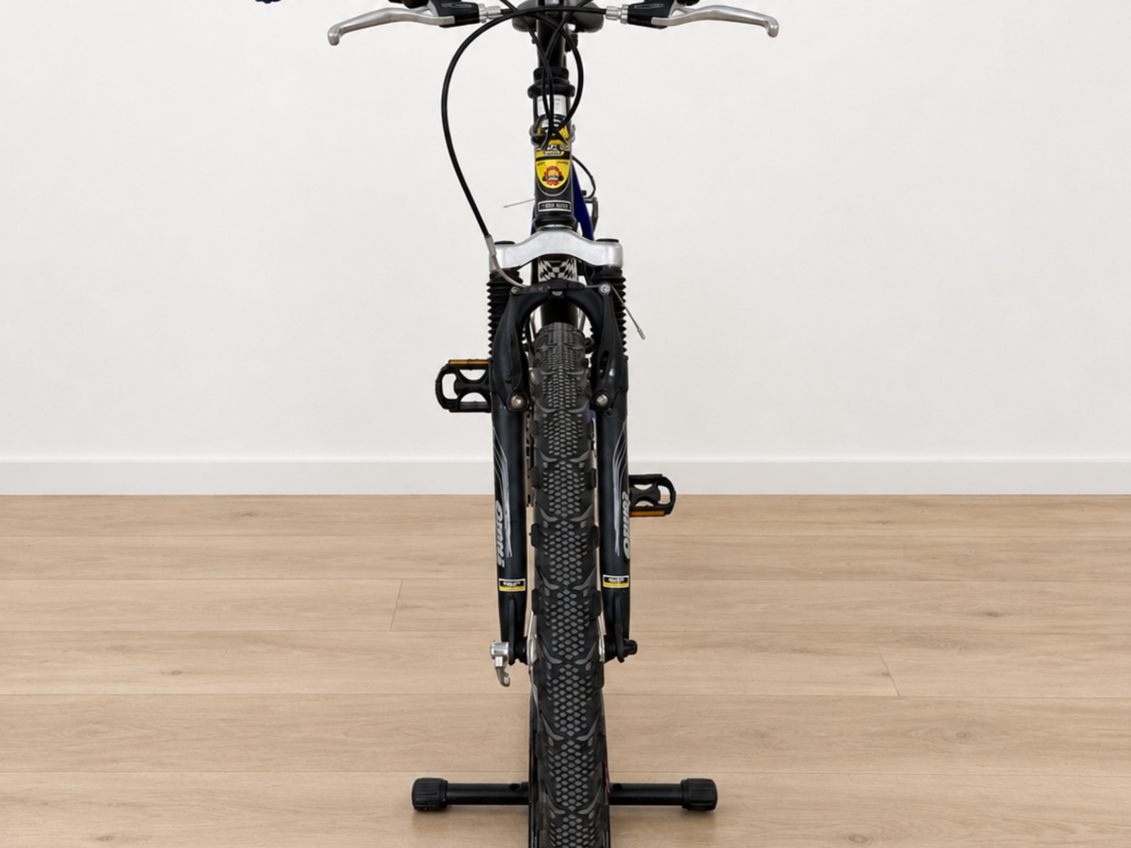 Mountain bike Stylus Dolphin (Nr. 37) 6