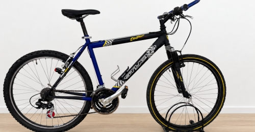 Mountain bike Stylus Dolphin (Nr. 37)