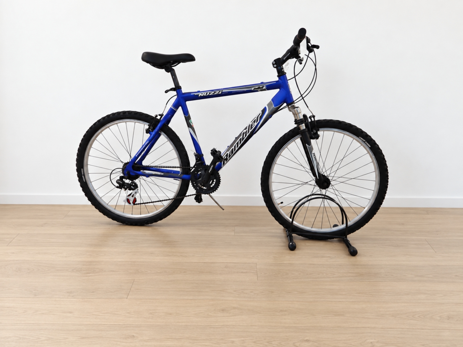 Mountain bike Nuzzi blu (Nr. 27) 2