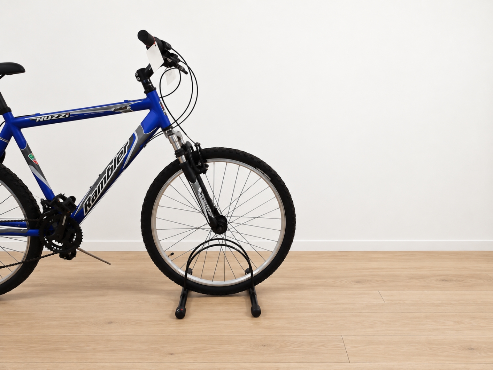 Mountain bike Nuzzi blu (Nr. 27) 4