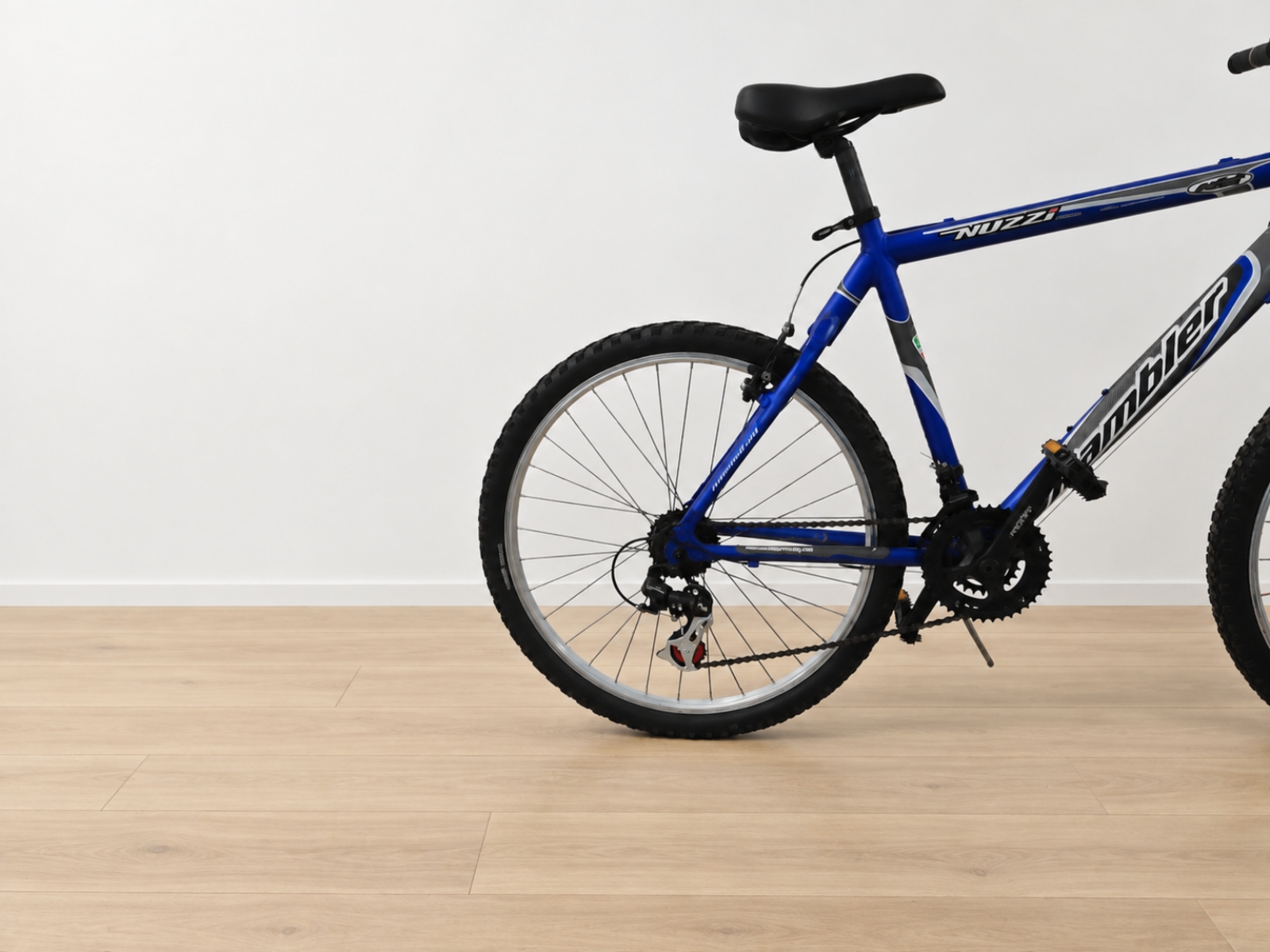 Mountain bike Nuzzi blu (Nr. 27) 5