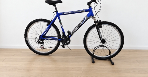 Mountain bike Nuzzi blu (Nr. 27)
