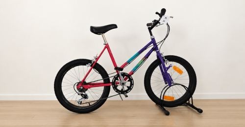 Mountain bike Peugeot multicolore (Nr. 20)