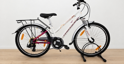 Bicicletta da citt&agrave; Crosswave Raider Pro (Nr. 22)