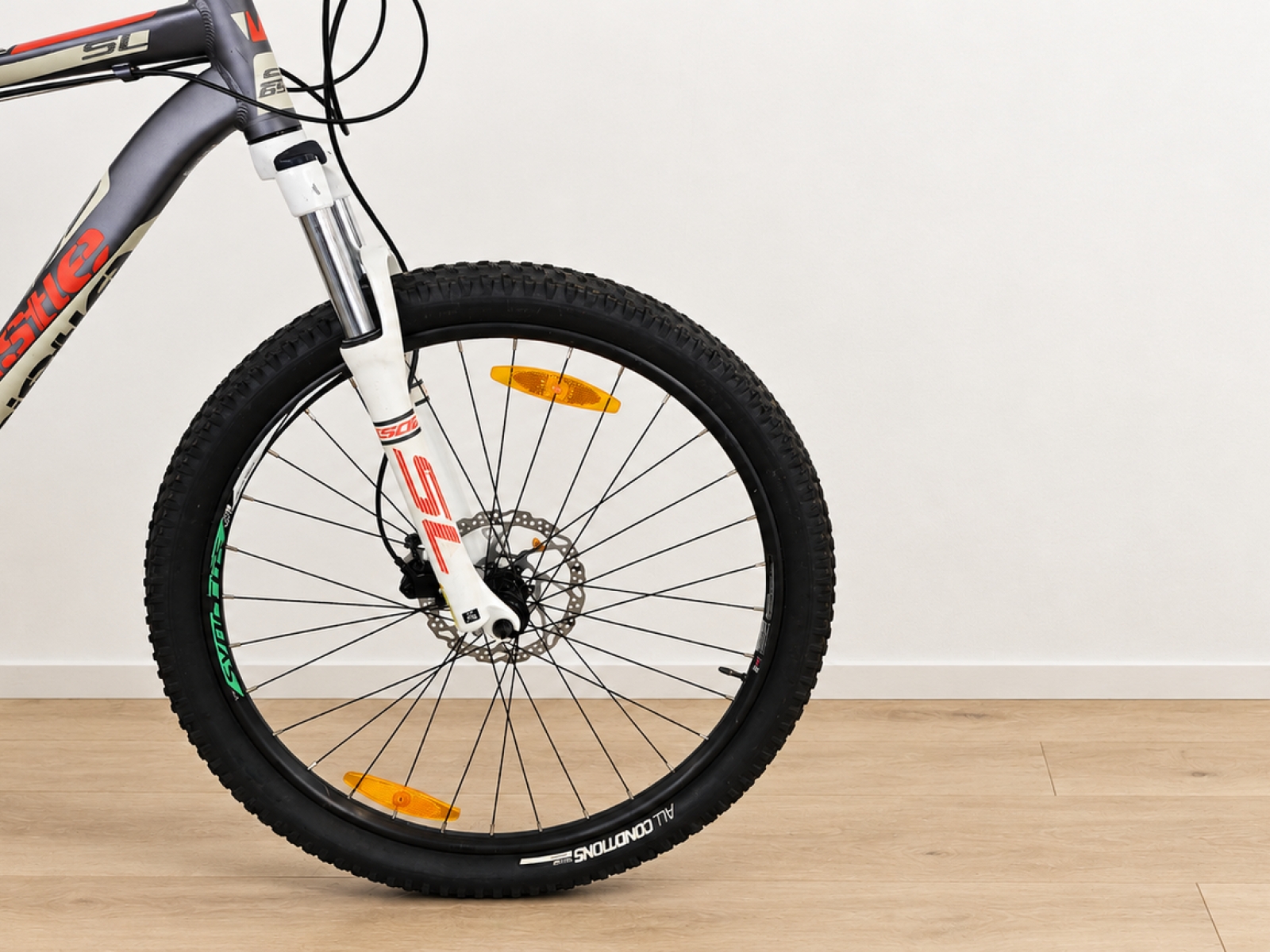 Mountain bike Whistle con forcella ammortizzata (Nr. 57) 4