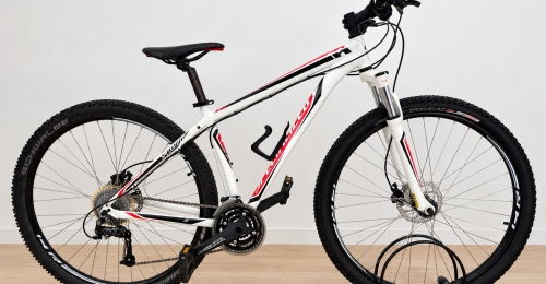 Mountain bike Specialized 29" (Nr. 25)