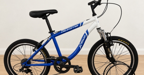 Mountain bike bambino California FOX (Nr. 59)